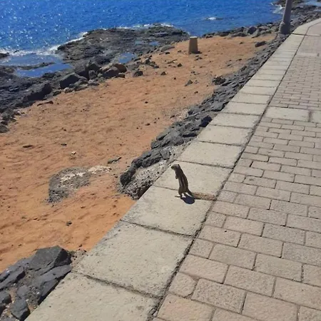 106 Torres Del Castillo, Fuerteventura Апартаменты Коста-де-Антигуа