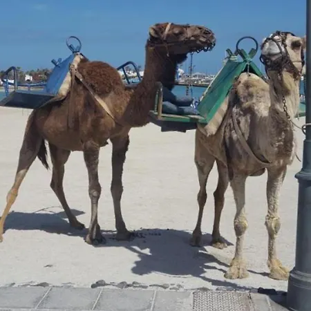 Апартаменты 106 Torres Del Castillo, Fuerteventura Коста-де-Антигуа